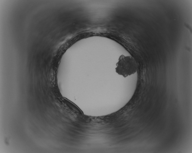 X0000100871398200807181226