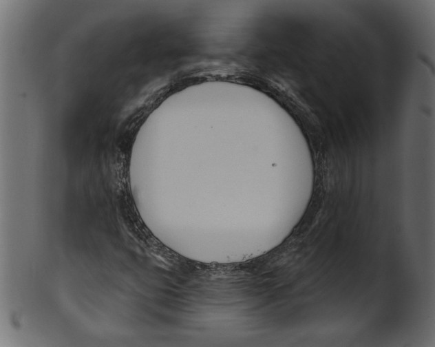 X0000100871399200807181226