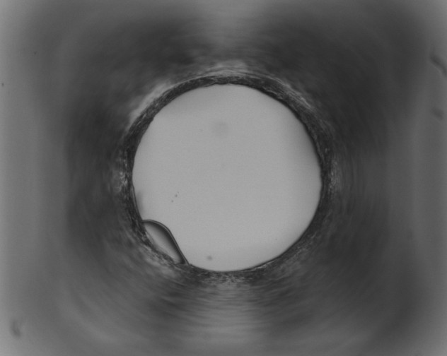 X0000100871400200807181226