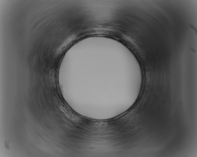 X0000100871403200807181226