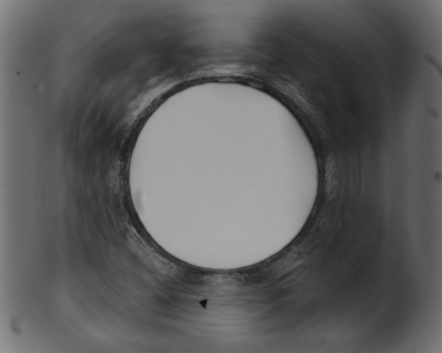 X0000100871404200807181226