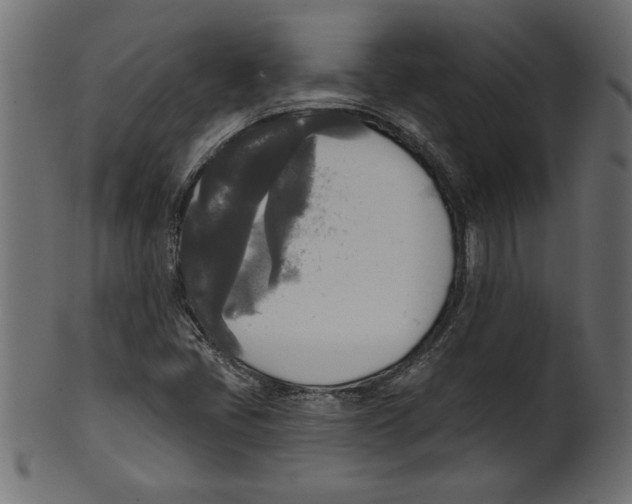 X0000100871405200807181226