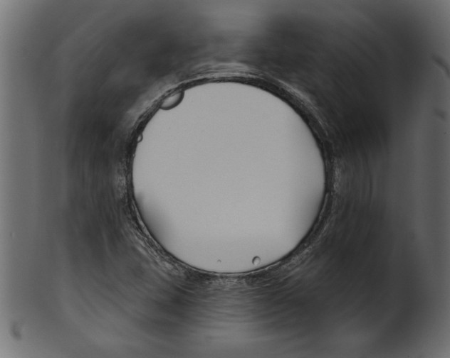 X0000100871407200807181226