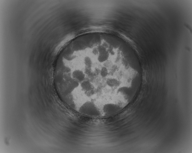 X0000100871411200807181226