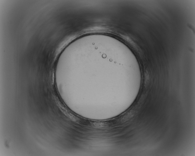 X0000100871413200807181226