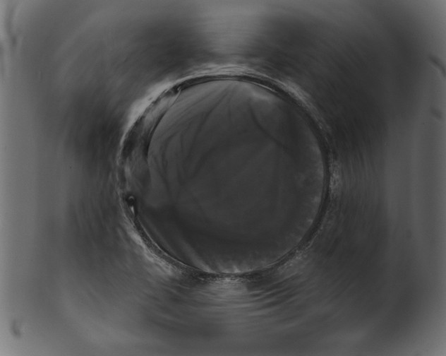 X0000100871414200807181226