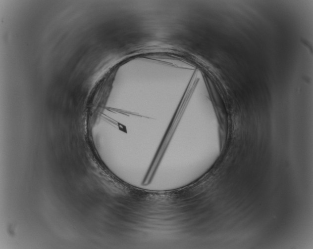 X0000100871415200807181226