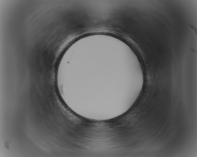 X0000100871416200807181226
