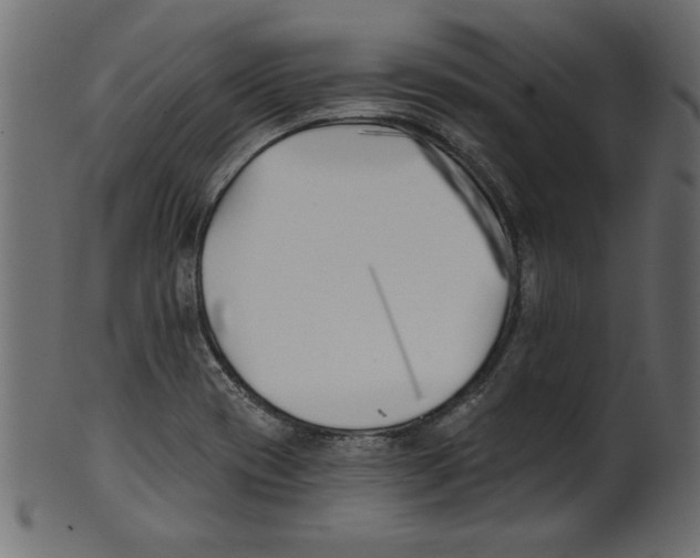 X0000100871417200807181226