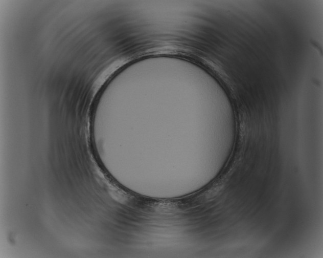 X0000100871418200807181226