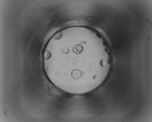 X0000100871419200807181226