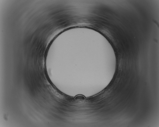 X0000100871420200807181226