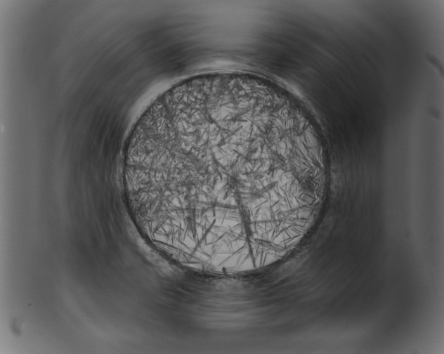 X0000100871421200807181226
