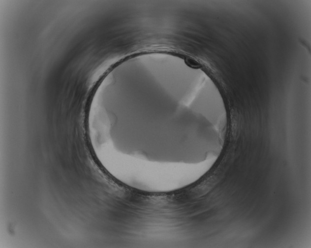 X0000100871422200807181226