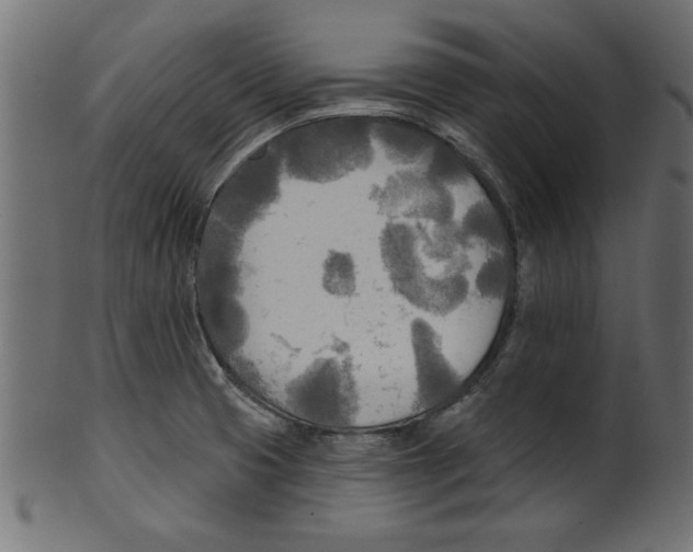 X0000100871425200807181226