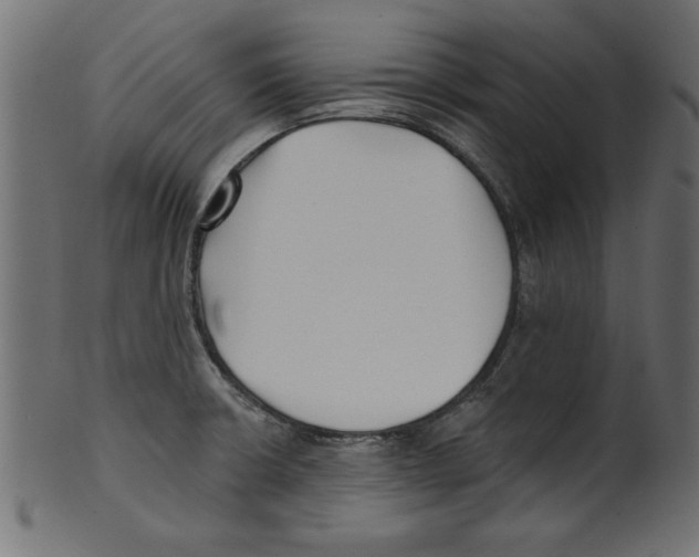 X0000100871426200807181226