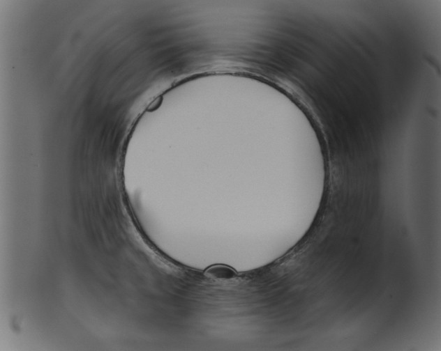 X0000100871429200807181226