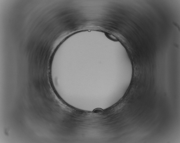 X0000100871430200807181226
