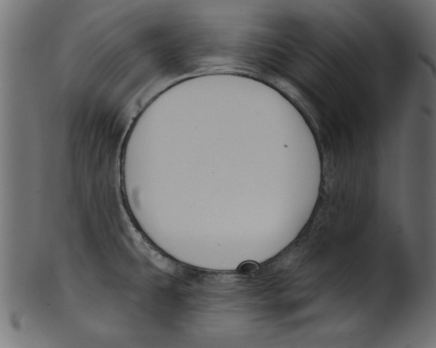X0000100871431200807181226