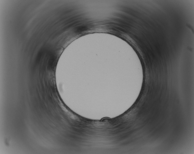 X0000100871433200807181226