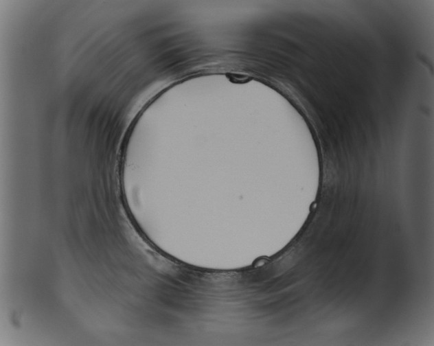 X0000100871434200807181227