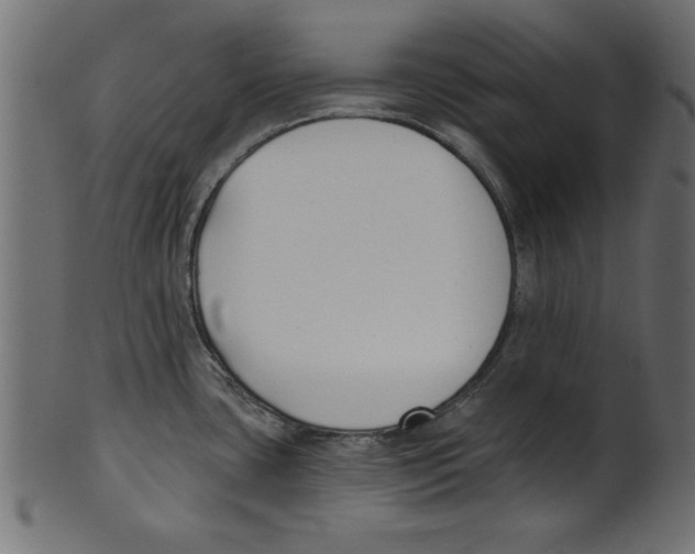 X0000100871435200807181227