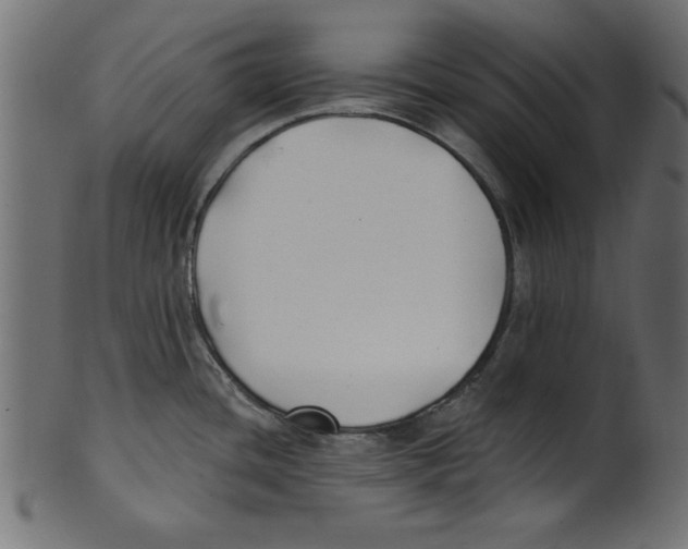 X0000100871436200807181227