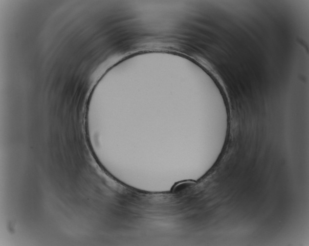 X0000100871437200807181227