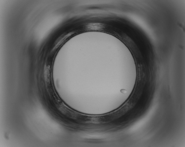 X0000100871438200807181227