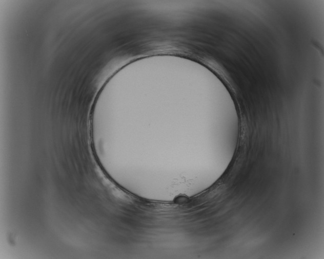 X0000100871439200807181227