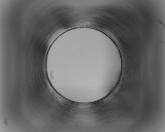 X0000100871440200807181227