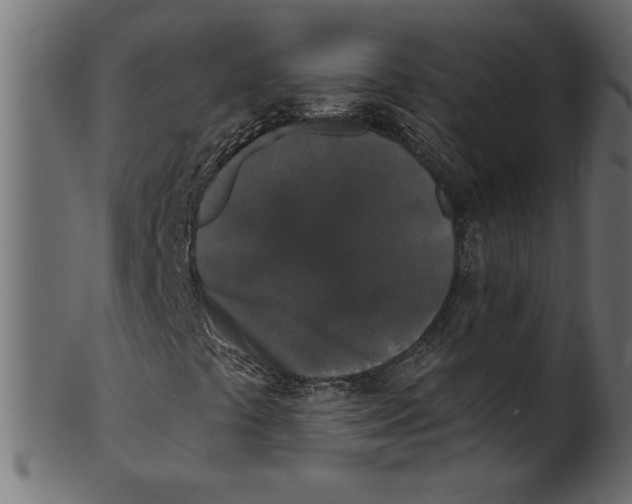 X0000100871441200807181226