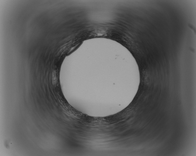 X0000100871442200807181226