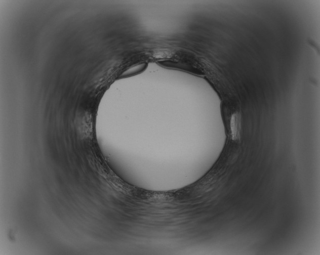 X0000100871443200807181226