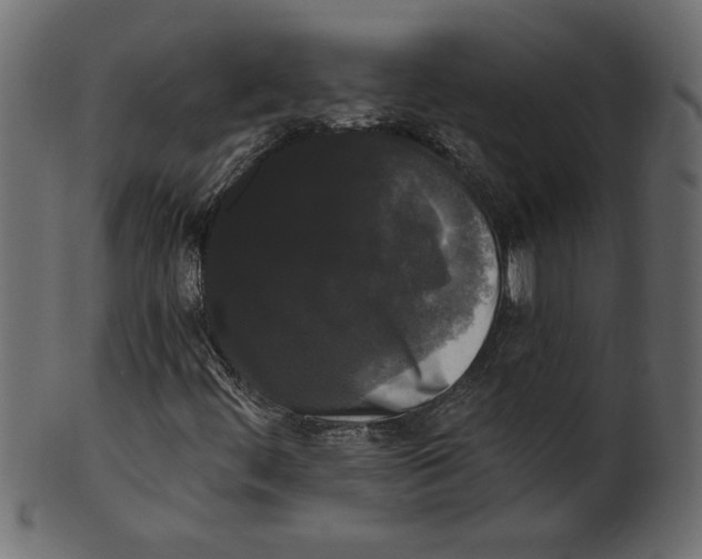 X0000100871444200807181226
