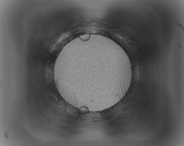 X0000100871446200807181226