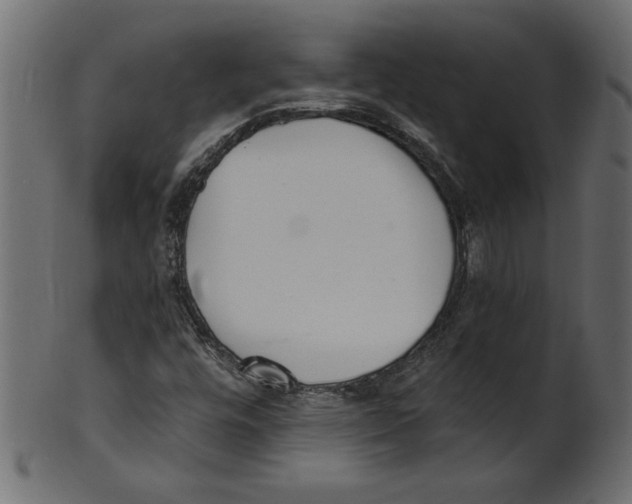 X0000100871448200807181226