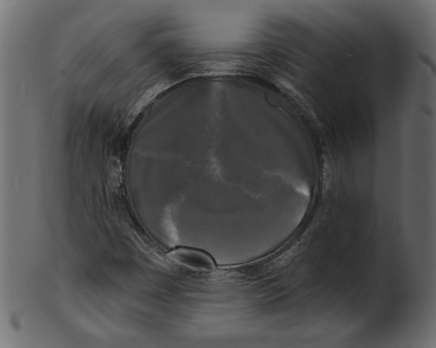 X0000100871449200807181226
