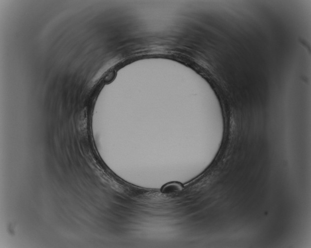 X0000100871450200807181226