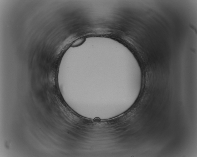 X0000100871451200807181226