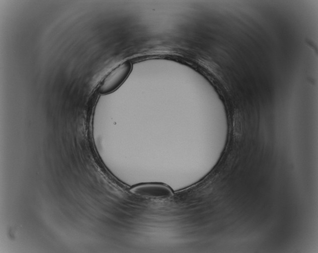 X0000100871452200807181226