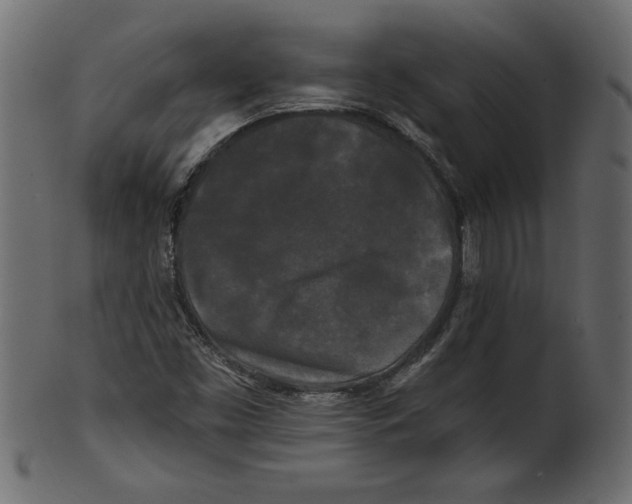 X0000100871453200807181226