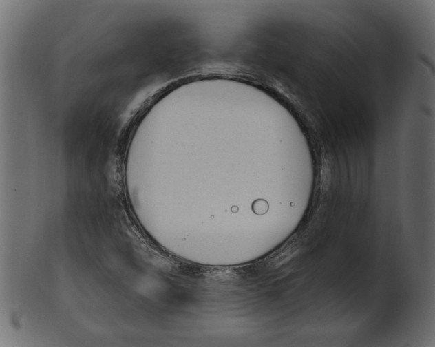 X0000100871454200807181226