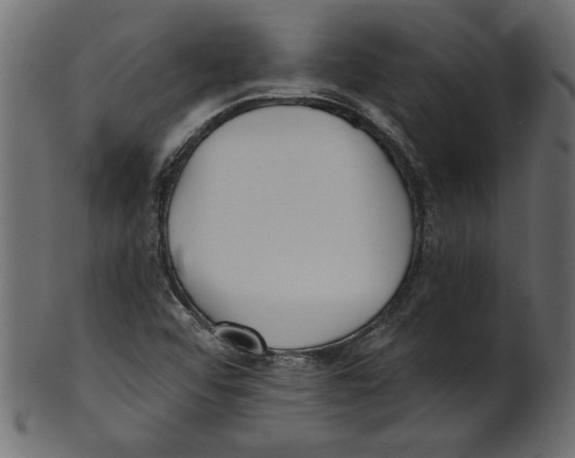 X0000100871456200807181226