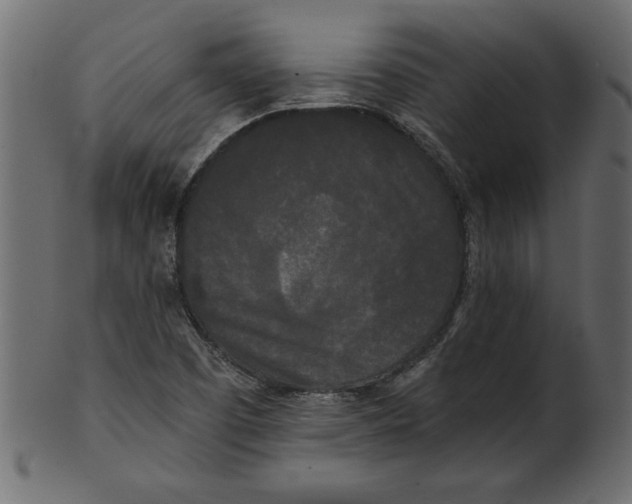 X0000100871457200807181226