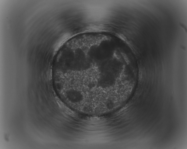 X0000100871459200807181226