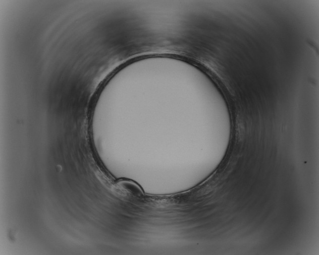 X0000100871460200807181226