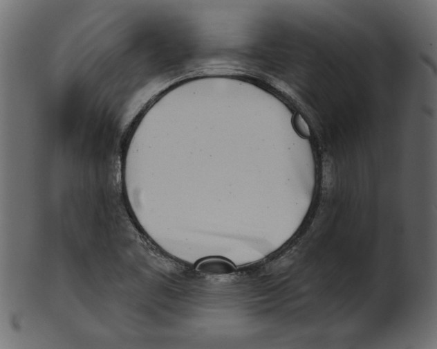 X0000100871461200807181226