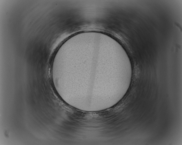 X0000100871462200807181226