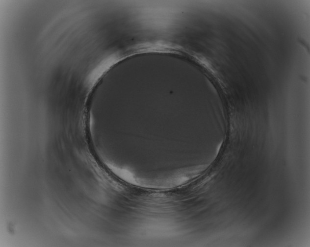 X0000100871463200807181226
